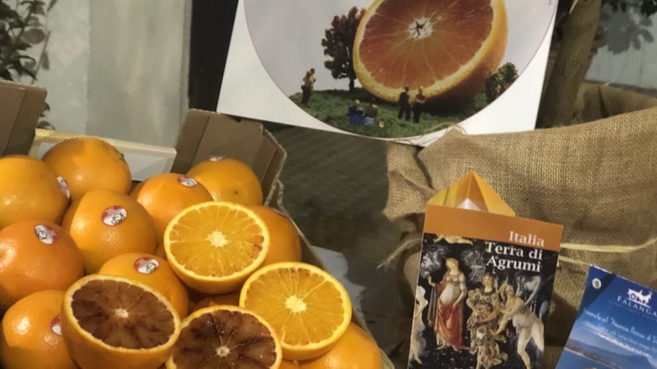 Agrumi: Colori, profumi, sapori della cultura Mediterranea