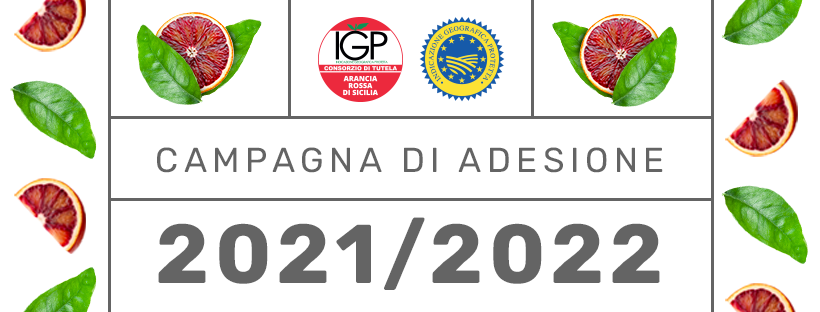 Agrumicoltura | Parte oggi la campagna di adesione 2021/2022 al Consorzio Arancia Rossa di Sicilia IGP.