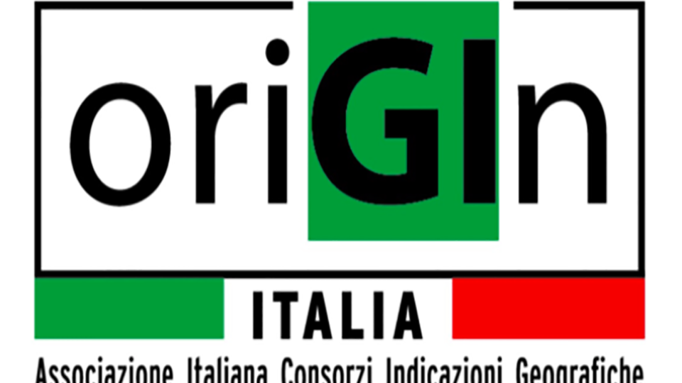 Origin Italia – Elena Albertini nel nuovo CDA