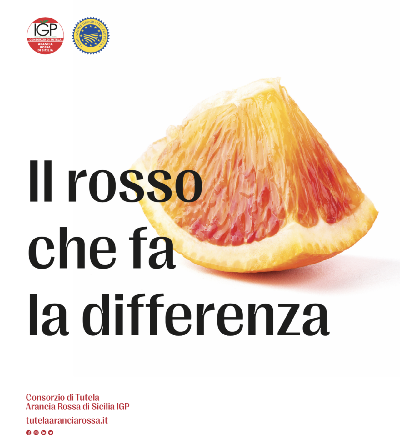 Agrumicoltura | Stagione di commercializzazione Arancia rossa di Sicilia IGP, continua la campagna di promozione via radio, tv e social del Consorzio