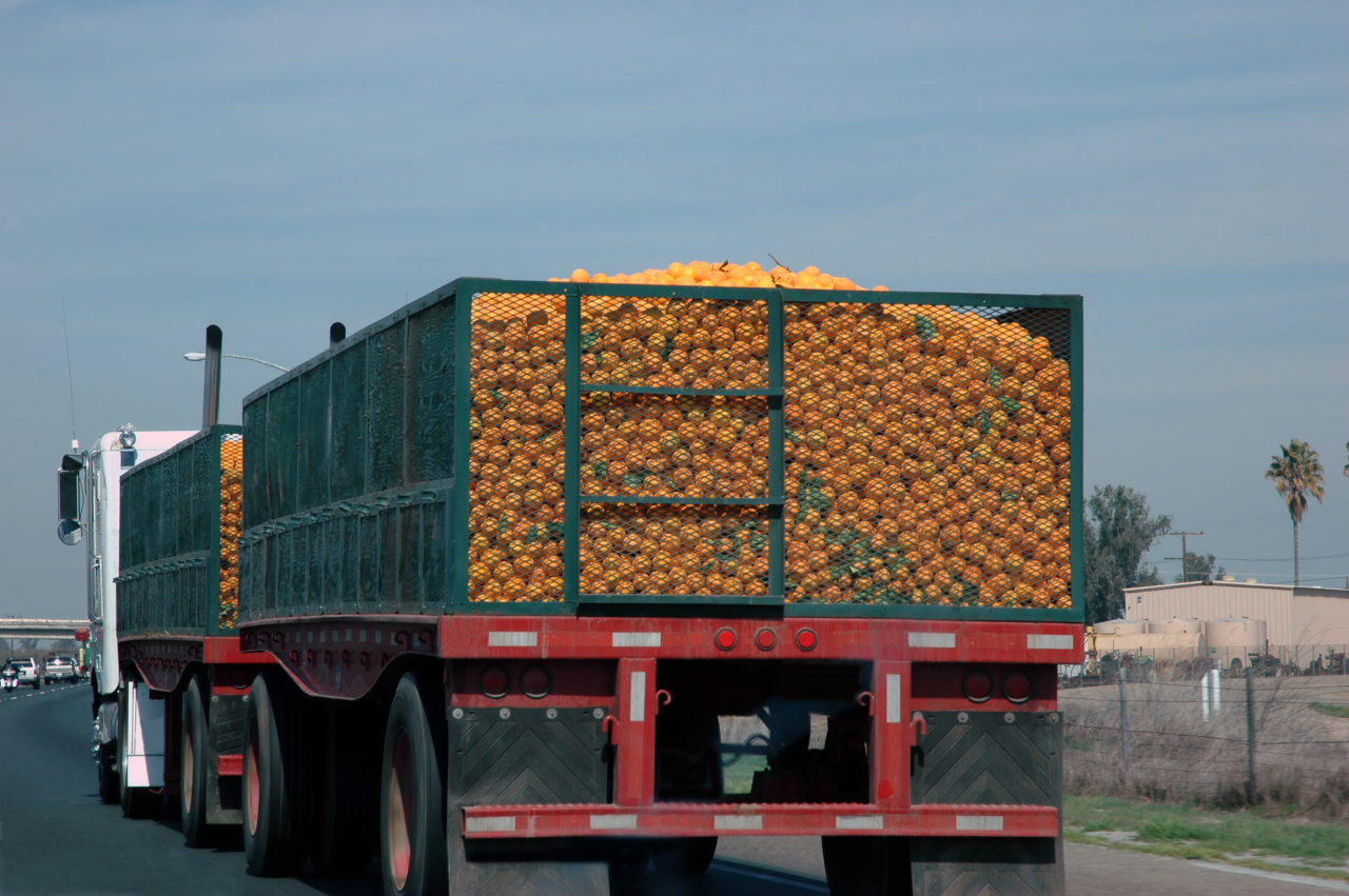 Agricoltura Sicilia | Blocco degli autotrasportatori danneggia imprese agricole siciliane.