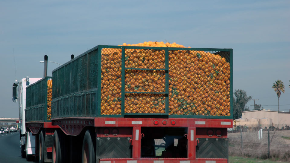 Agricoltura Sicilia | Blocco degli autotrasportatori danneggia imprese agricole siciliane.