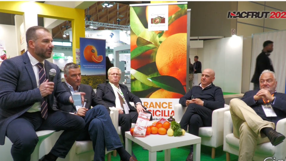 Tavola Rotonda | Macfrut 2022. “Agricoltura post pandemia: tra criticità e opportunità” – VIDEO