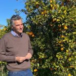 Agrumicoltura | È allarme Xylella degli agrumi, confermati i primi casi in Portogallo, il batterio si è sviluppato da una sottospecie