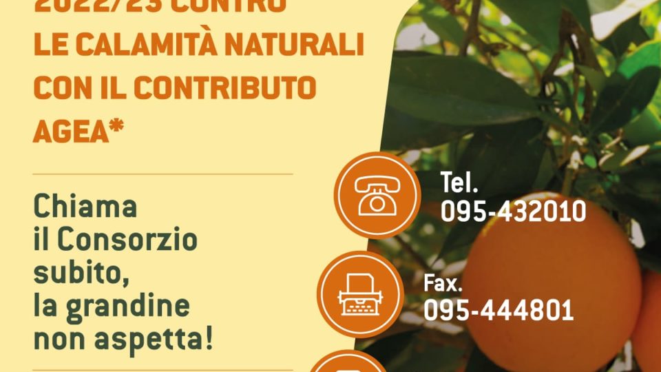 Convenzione Campagna Assicurativa Agevolata “Invernale Agrumi 2022-23”