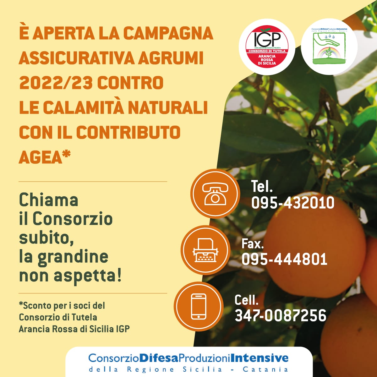 Convenzione Campagna Assicurativa Agevolata “Invernale Agrumi 2022-23”