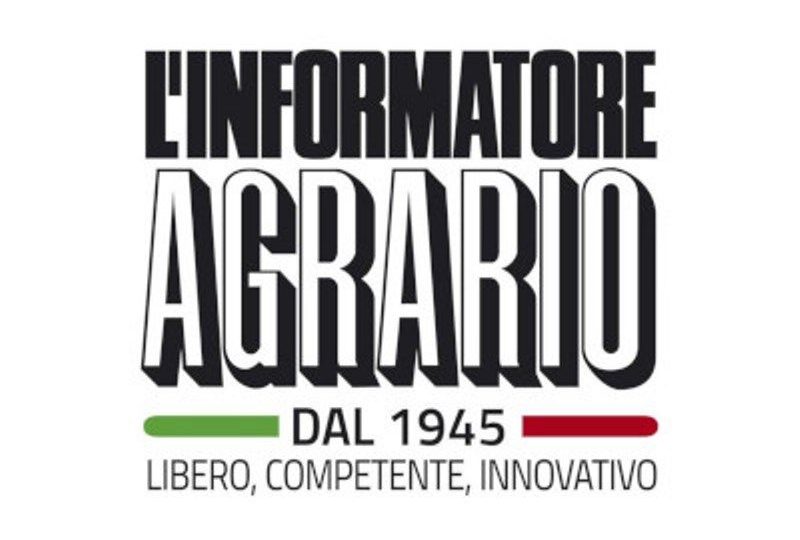 L’informatore Agrario: Agrumi al via tra buona qualità e timori sui prezzi