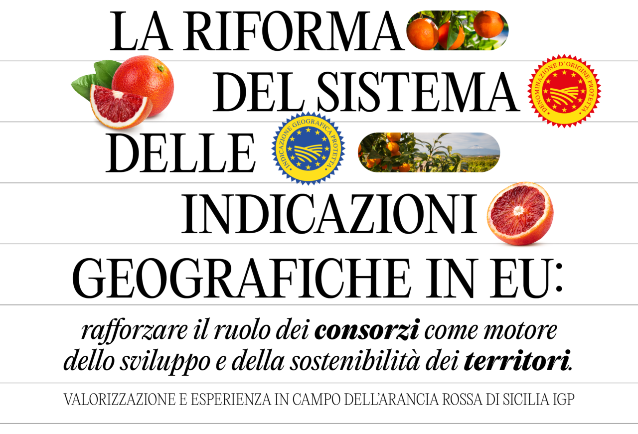 Agricoltura | Mercoledì 16 novembre a Catania, convegno workshop sulla Riforma europea del sistema delle indicazioni geografiche