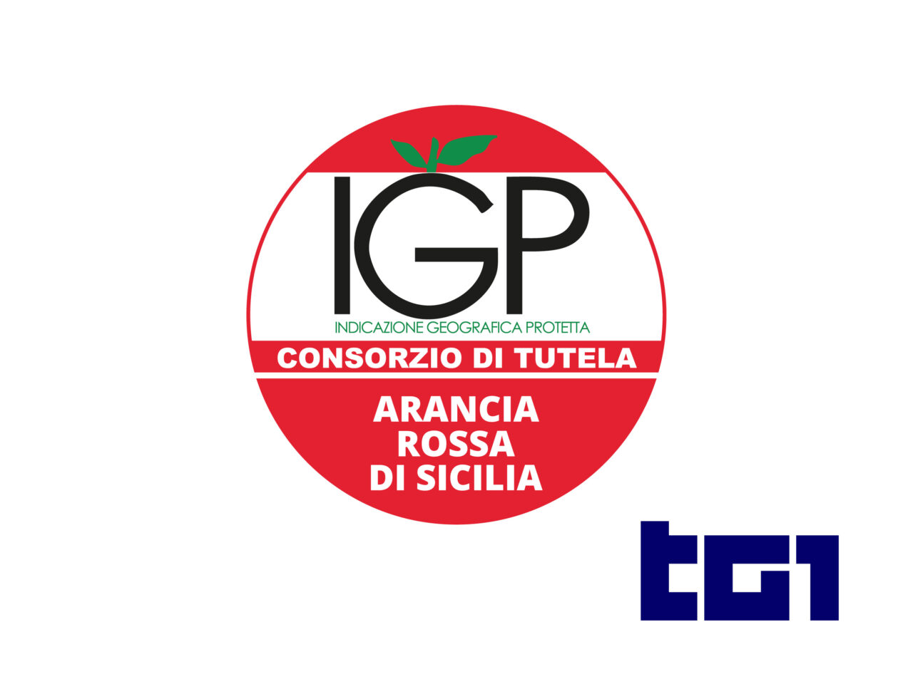 DOP ECONOMY | IL NOSTRO CONSORZIO OSPITE DEL TG1