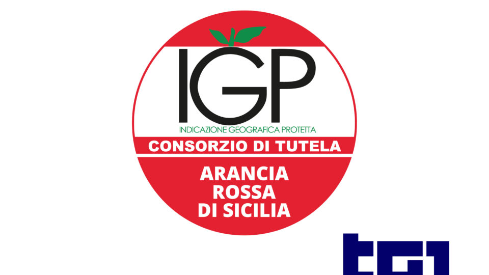 DOP ECONOMY | IL NOSTRO CONSORZIO OSPITE DEL TG1