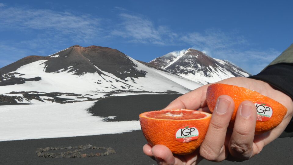 Agrumicoltura | Al via con un omaggio all’Etna la stagione dell’Arancia Rossa di Sicilia IGP.