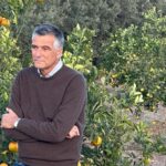 Agrumicoltura, Diana (Arancia Rossa di Sicilia IGP) lettera ai ministri Lollobrigida e Planas: “Italia e Spagna insieme per la prevenzione delle malattie degli agrumi”