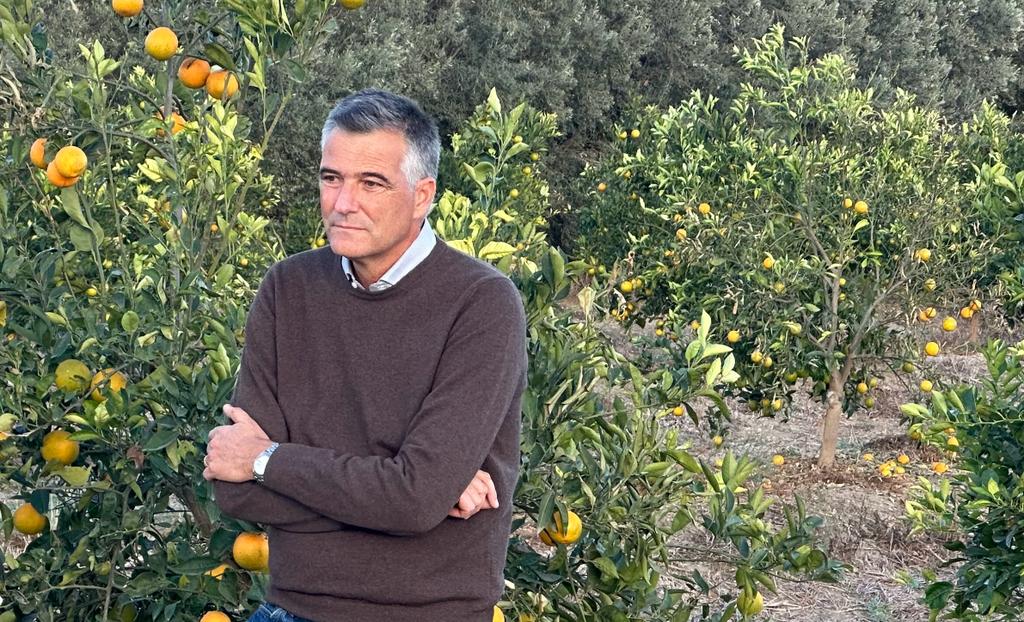 Agrumicoltura, Diana (Arancia Rossa di Sicilia IGP) lettera ai ministri Lollobrigida e Planas: “Italia e Spagna insieme per la prevenzione delle malattie degli agrumi”