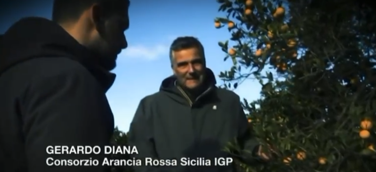 Arancia Rossa Igp su Rete 4