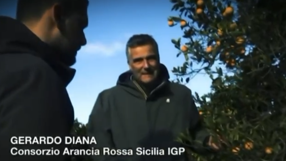 Arancia Rossa Igp su Rete 4