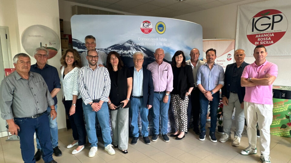 Agrumicoltura | Gerardo Diana confermato presidente del Consorzio Arancia Rossa di Sicilia IGP per il triennio 2024-2027