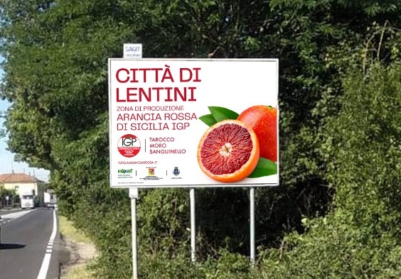 “Le città dell’Arancia Rossa”: a Lentini (Sr) il Consorzio dell’Arancia rossa di Sicilia IGP partner dell’evento promosso dalla locale Condotta di Slow Food