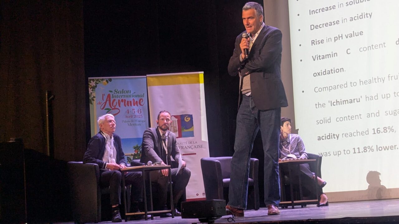 L’Arancia Rossa di Sicilia IGP modello per la lotta al cambiamento climatico – Sui dazi, fronte comune europeo per sostenere i trasformatori di prodotto